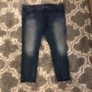 AVA VIV Jeans 20W